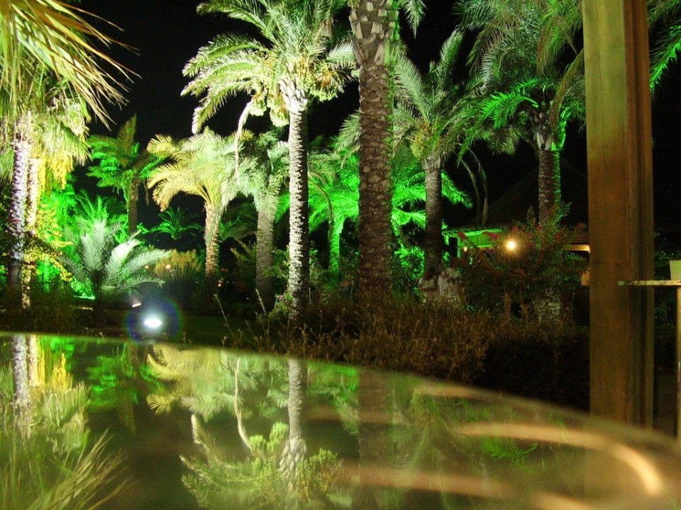 Schöne Gartenanlage bei Nacht Selectum Family Comfort Side
