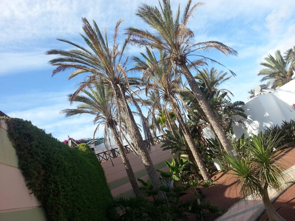 Garten Hotel HL Club Playa Blanca