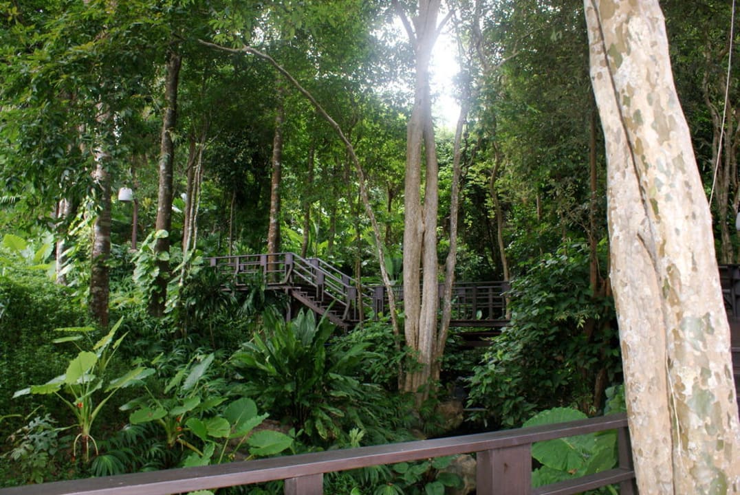 Treppen über einem Wasserfall im Resort Hotel Pimalai Resort & Spa