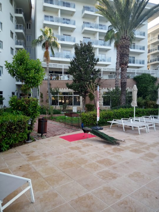 Gartenanlage Seaden Sea World Resort & Spa