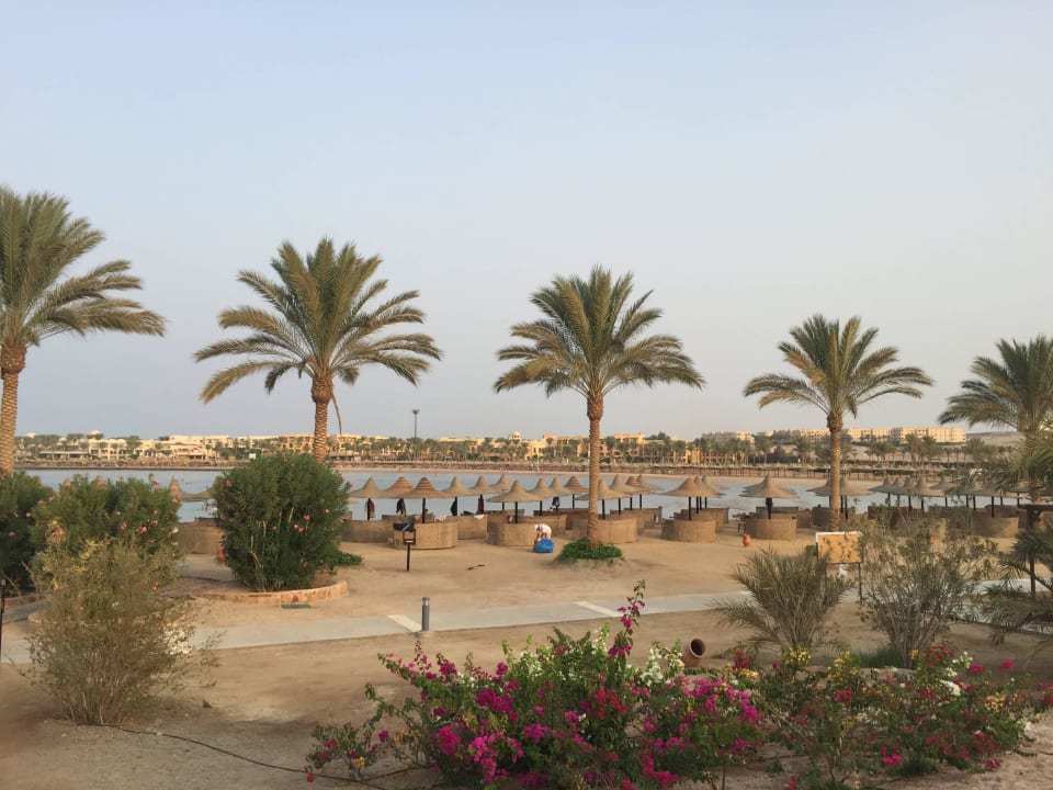 Toller Strand Steigenberger Coraya Beach - Adults only