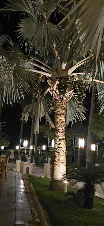 Außenansicht Makadi Spa - Adults only