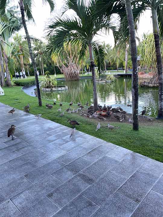 Außenansicht Tropical Deluxe Princess