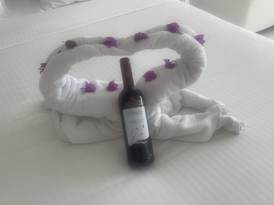 Zimmer Dimitra Beach Hotel & Suites