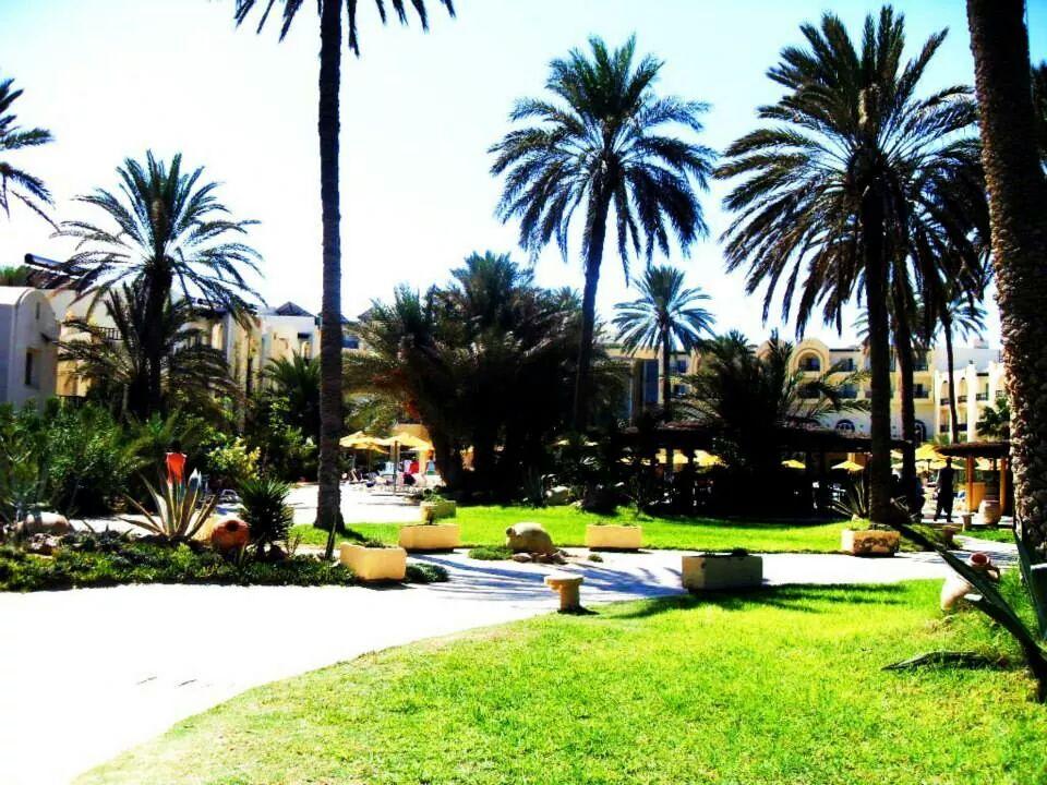 Garten  Hotel Eden Star
