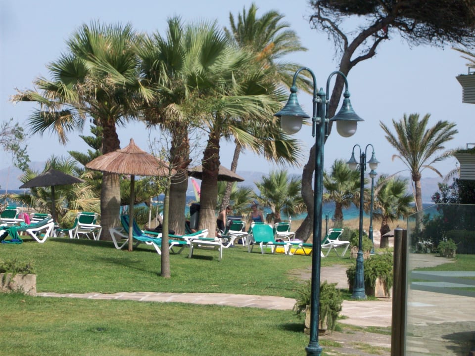 Liegewiese am Pool Playa Esperanza Resort