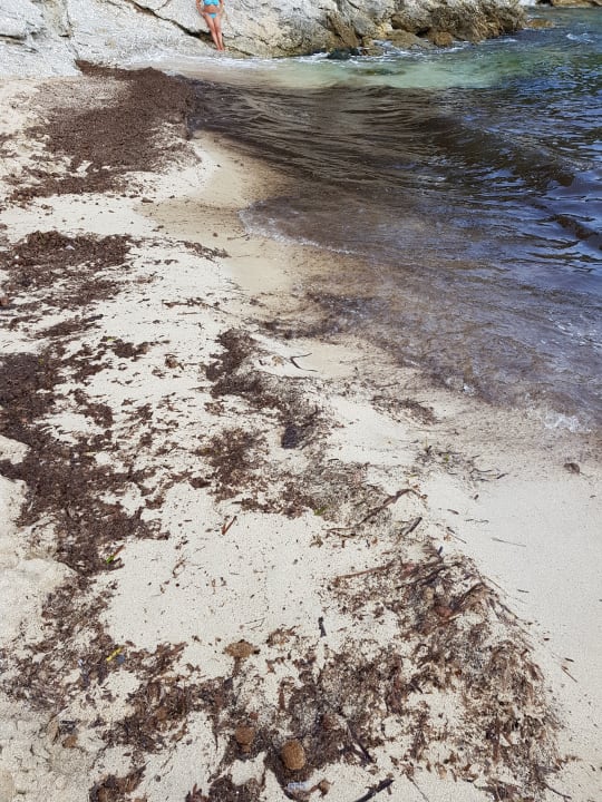 Strand Iberostar Waves Pinos Park