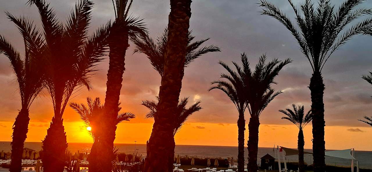 Ausblick Iberostar Waves Averroes