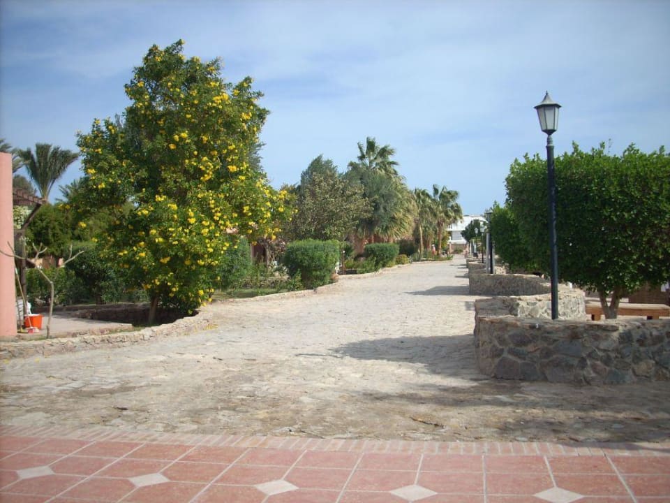 Strandpromenade vom Hotel Eagles Paradise Abu Soma