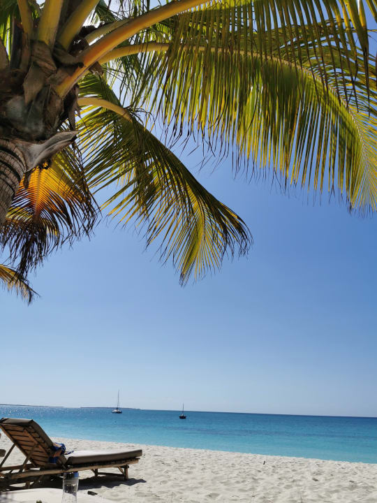 Strand Zuri Zanzibar Hotel & Resort