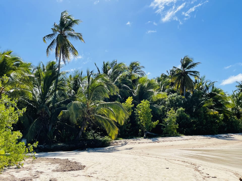 Strand Lopesan Costa Bávaro Resort, Spa & Casino