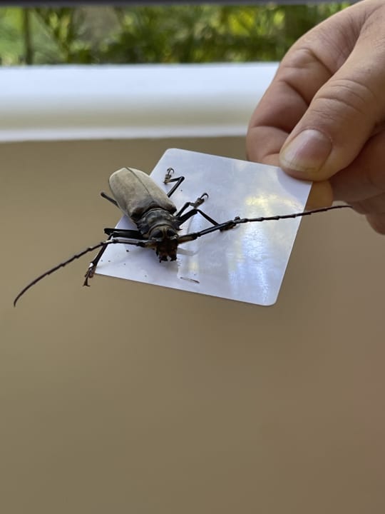 Sonstiges Akumal Bay Beach & Wellness Resort