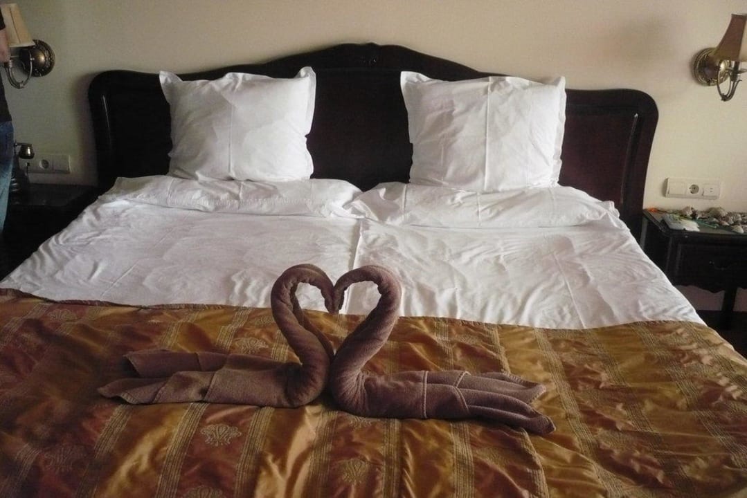 Zimmer GRIFID Aqua Club Bolero