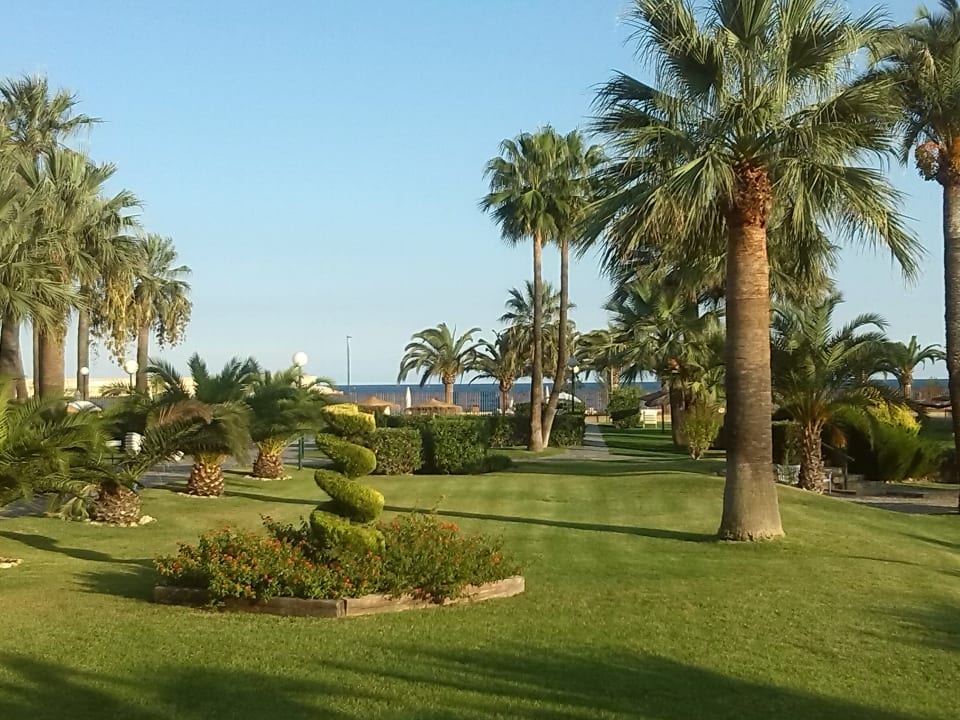 Der innere Palmengarten Hotel Parador de Benicarlo