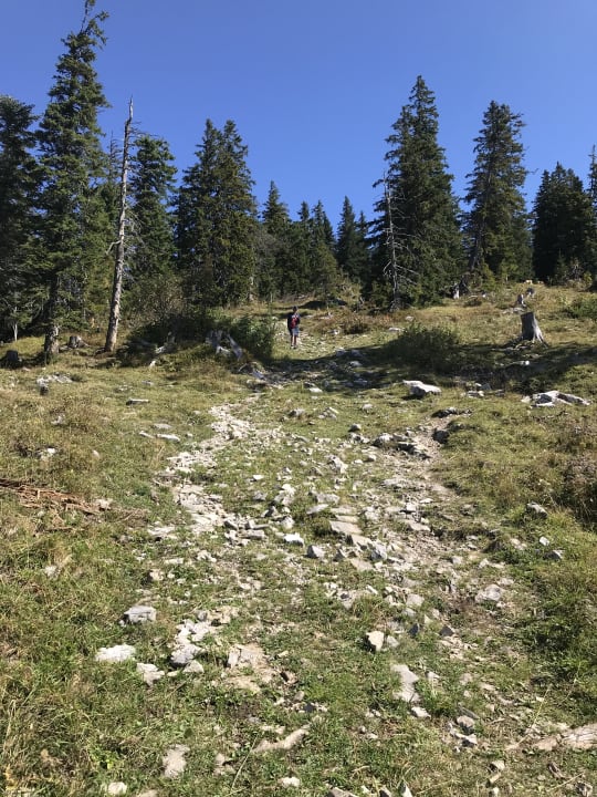 Außenansicht Hotel Winklmoosalm - das Original