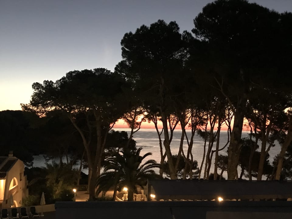 Ausblick Iberostar Waves Pinos Park