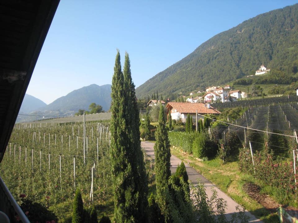 Blick vom Balkon Haus Sonnegg