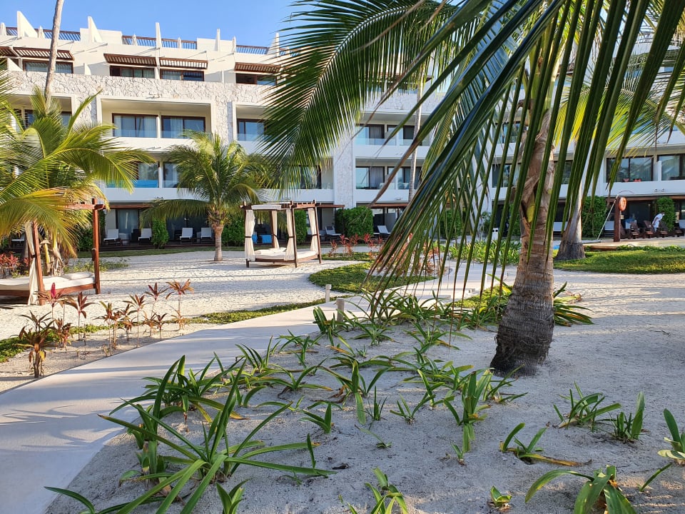 Pool Akumal Bay Beach & Wellness Resort