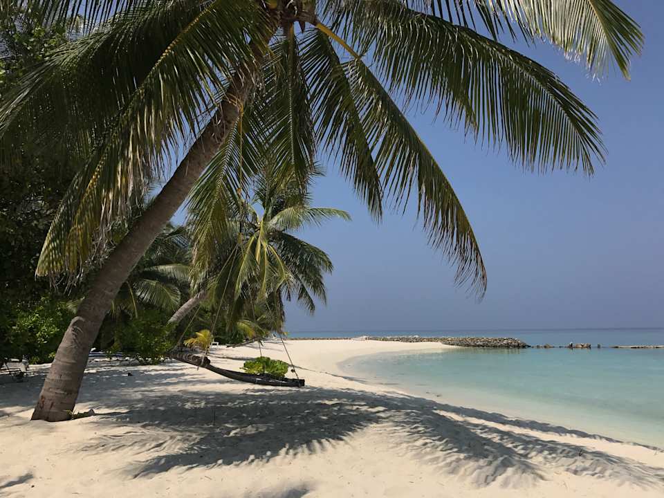 Strand Summer Island Maldives