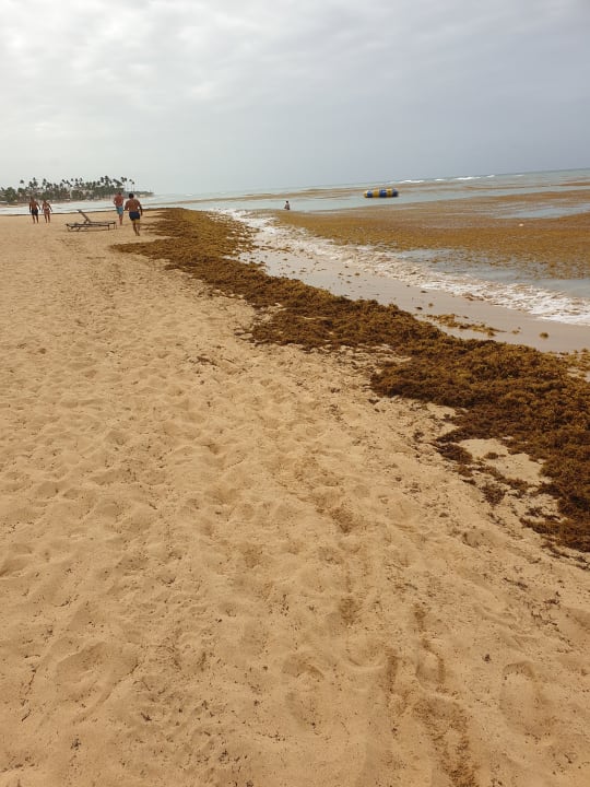 Strand Wyndham Alltra Punta Cana