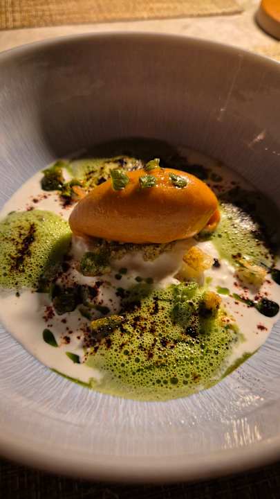 Gastro ananea Madivaru Maldives