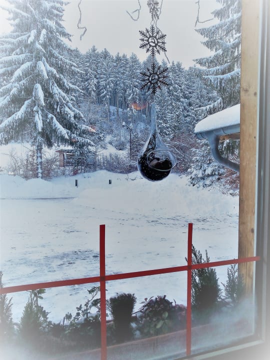 Ausblick Pension Waldhof