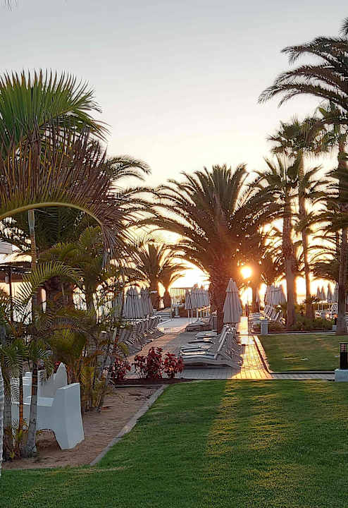 Gartenanlage Hotel Riu Palace Tenerife