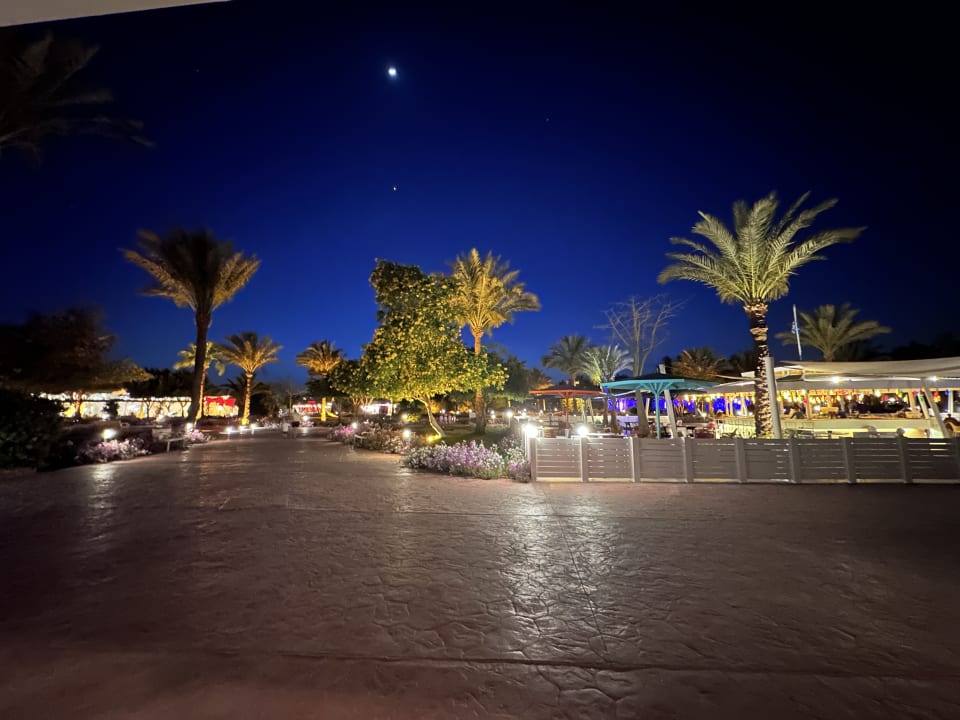 Sonstiges Desert Rose