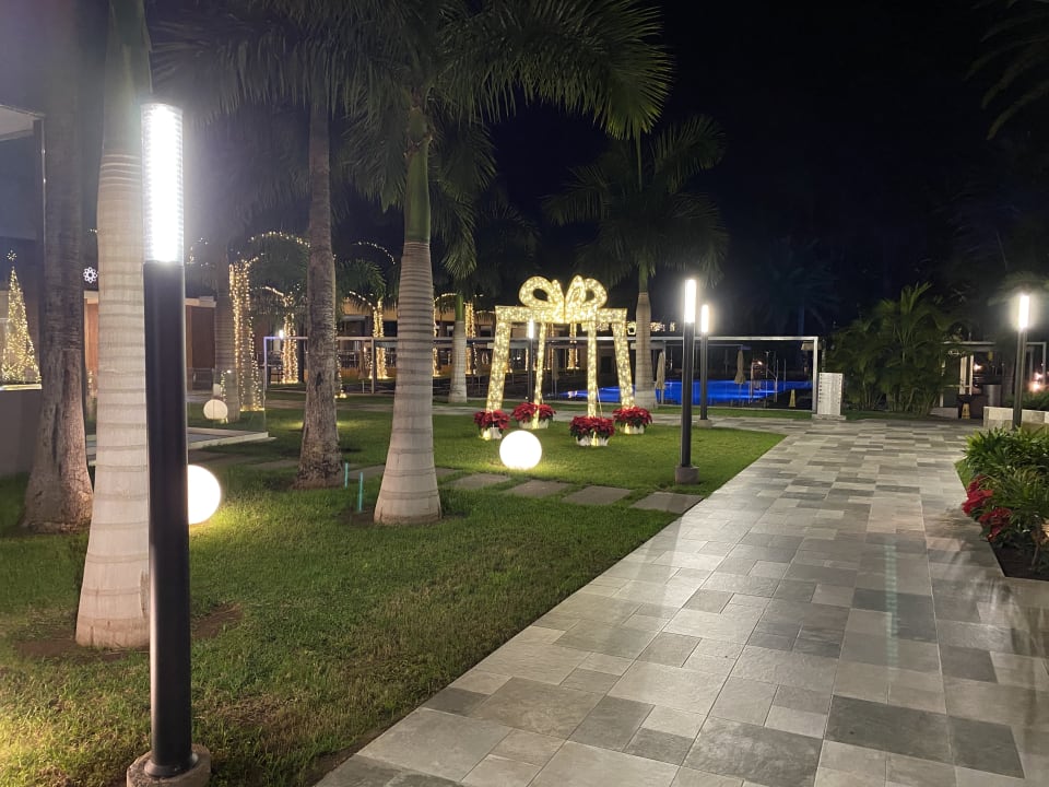 Gartenanlage Hotel Riu Palace Oasis