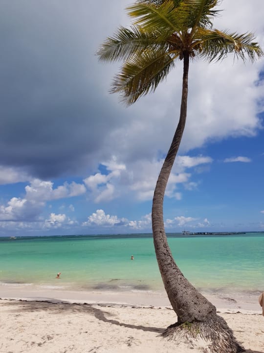 Strand Lopesan Costa Bávaro Resort, Spa & Casino