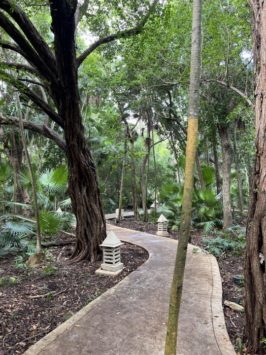 Gartenanlage Iberostar Waves Paraiso Beach