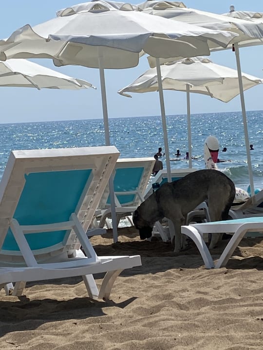 Strand Arnor de Luxe Hotel & Spa