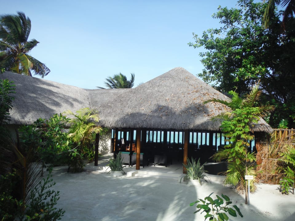 Strandbar - alles Barfußbereich  Summer Island Maldives