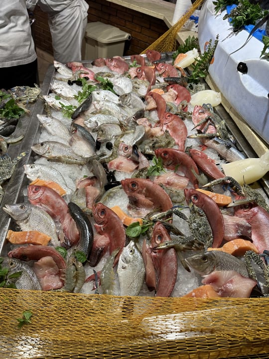 Gastro Club Paradisio El Gouna, Red Sea