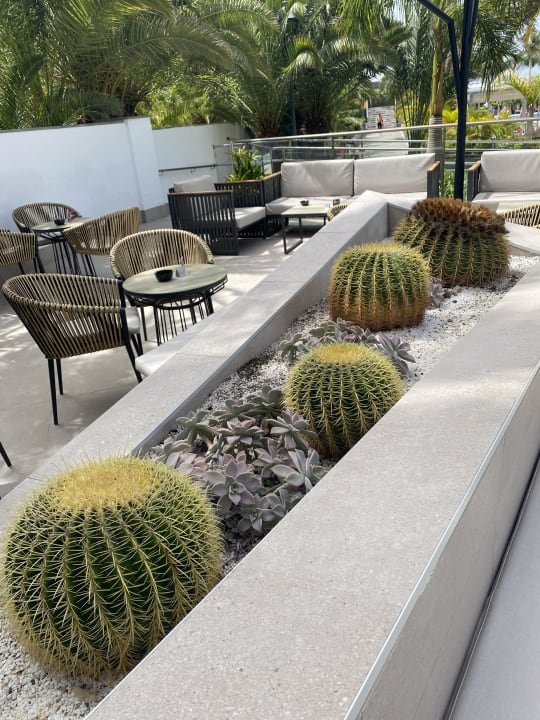 Außenansicht Hotel Riu Palace Maspalomas Adults Only