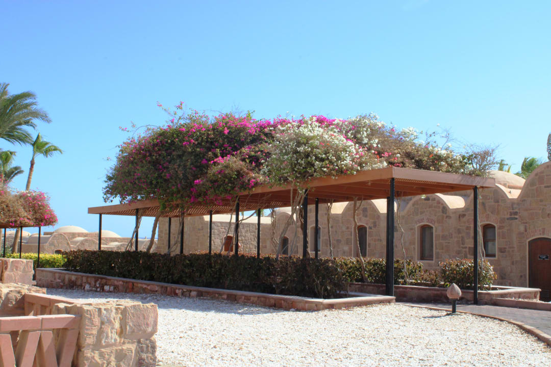 Gartenanlage Mövenpick Resort El Quseir