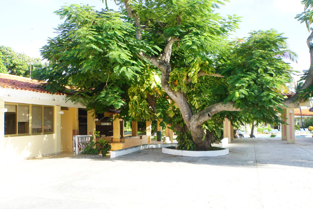 Gartenanlage Hotel Roc Barlovento