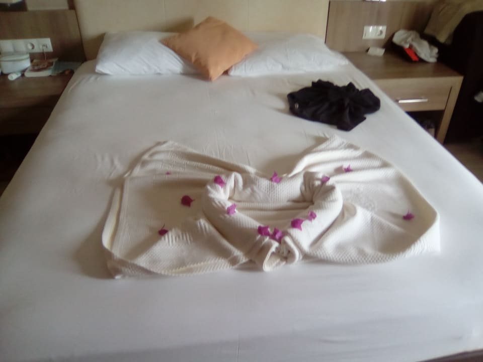 Zimmer Calimera Hane Garden