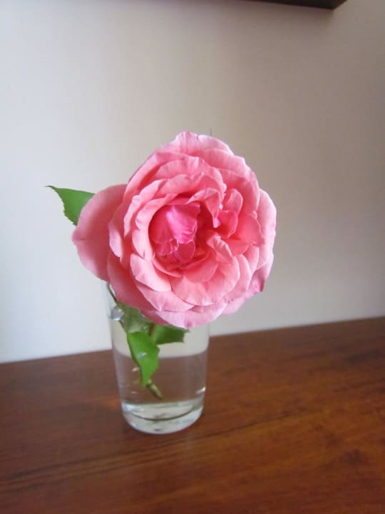 Deko der Raumpflegerin Hotel Defne Garden