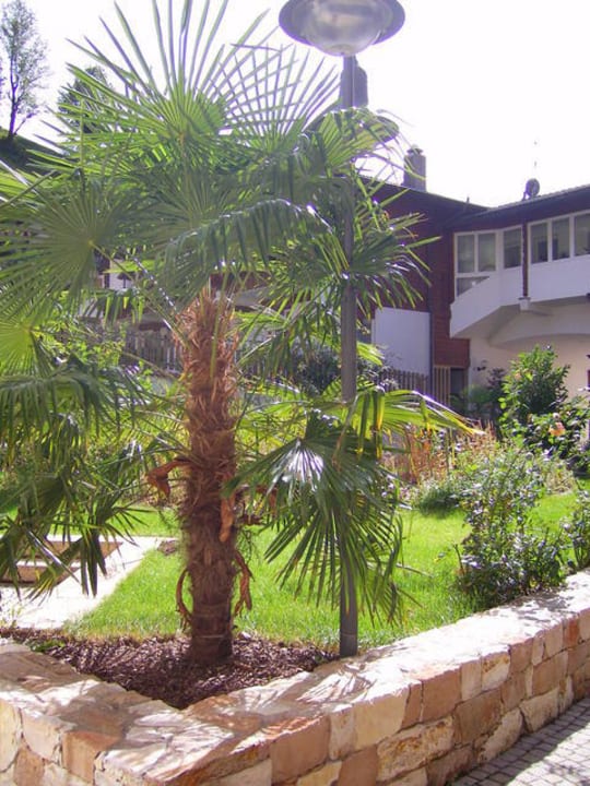 Gartenanlage des Hotels STROBLHOF Active Family SPA Resort