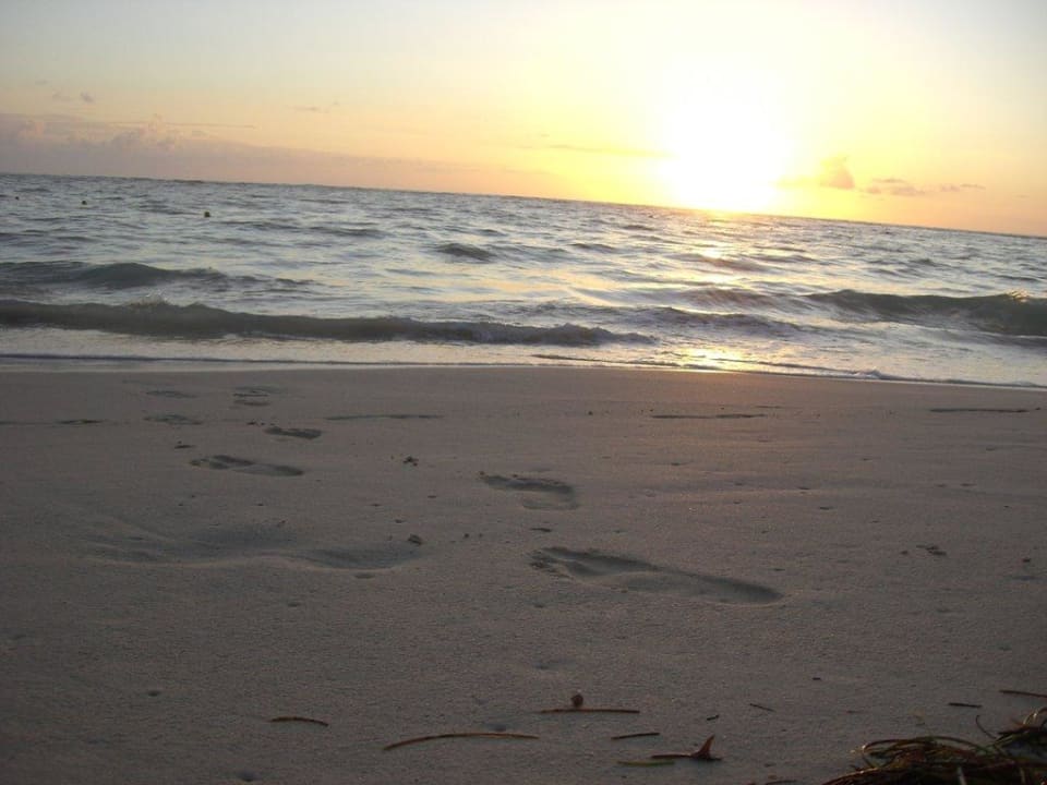 Sonnenaufgang Hotel Riu Palace Punta Cana
