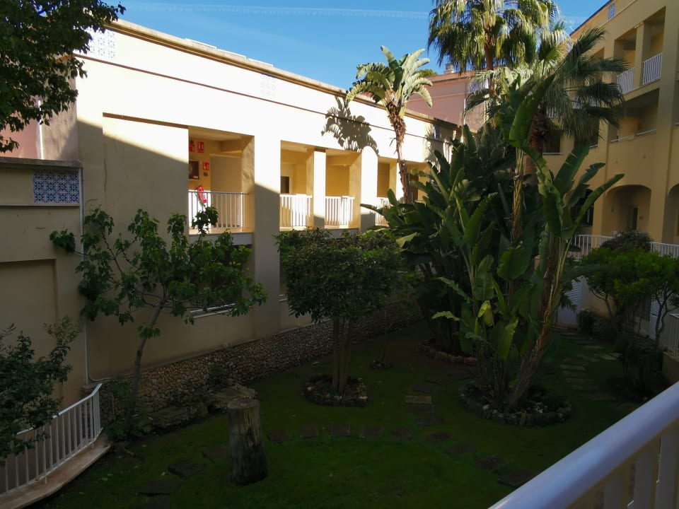 Garten Comitas Floramar