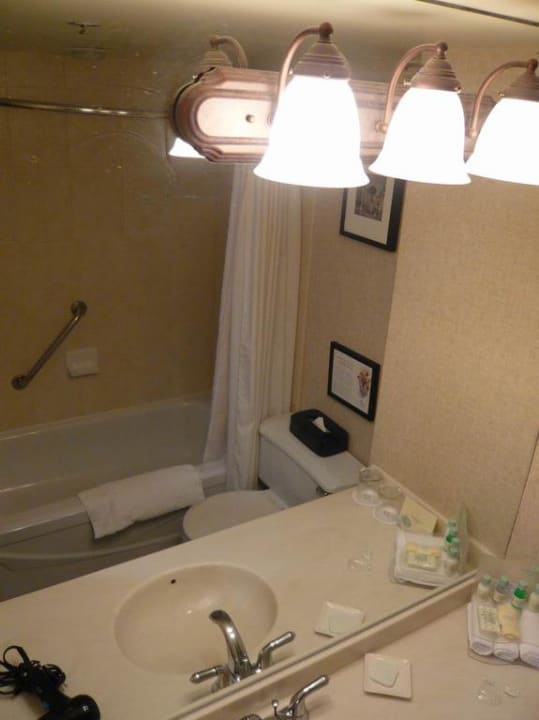 Bad Hotel Delta Calgary Airport