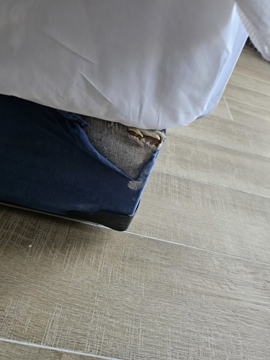 Zimmer Dream Fun World