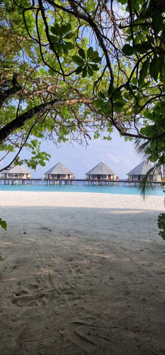 Ausblick Adaaran Select Meedhupparu Island Resort - Premium All Inclusive