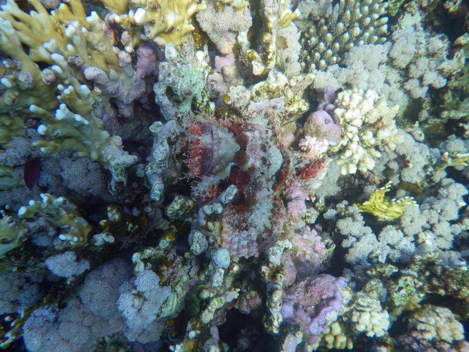 Strand Bliss Nada Beach Resort