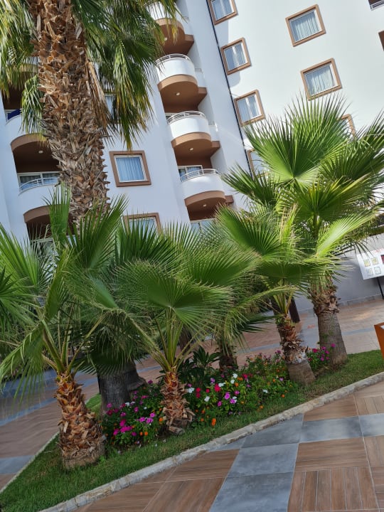 Gartenanlage Hotel Royal Garden Beach
