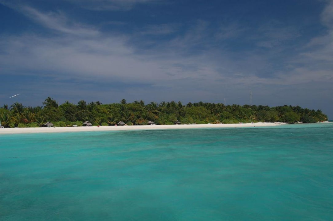 Trauminsel Summer Island Maldives