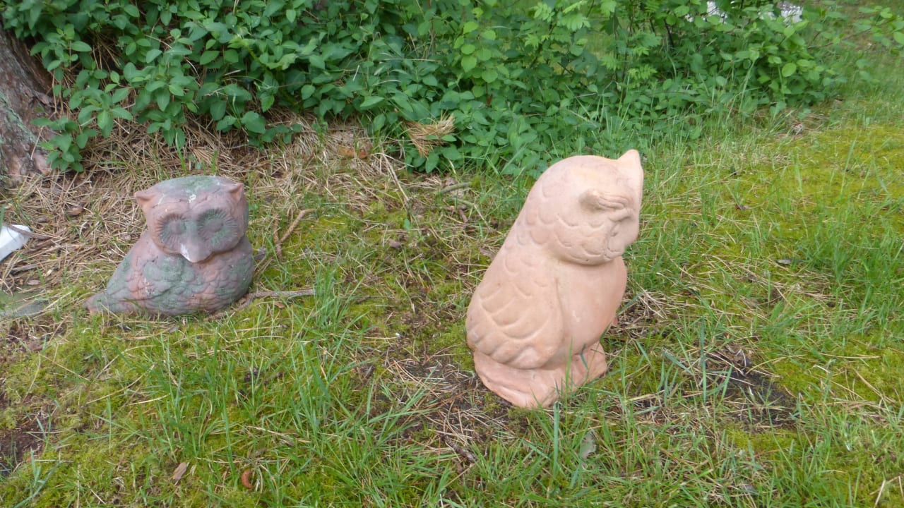 Überall Eulen Dünenhotel Eulenhof