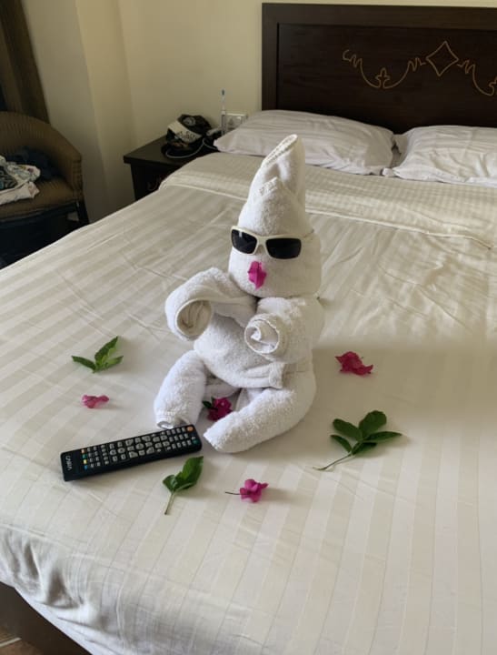 Zimmer Three Corners Sea Beach Resort